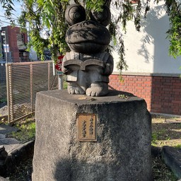 Matsumoto frog festival 松本かえる祭り
