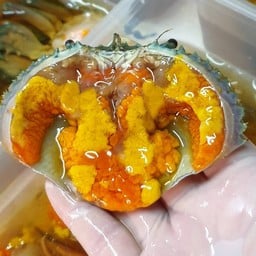 XL สเปเซี่ยล # 450