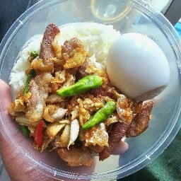 ข้าวหมูทอดพริกสด8265(สาขา2) .