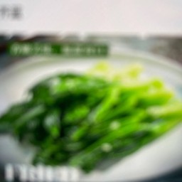 ผัดผักคะน้า