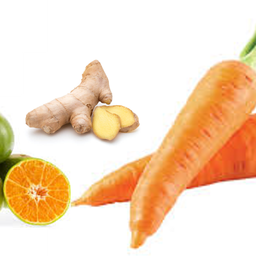 Ginger + Orange + Carrot