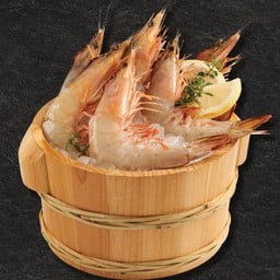 กุ้งแชบ๊วยทะเล