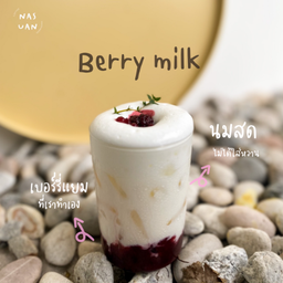 Berry Milk
