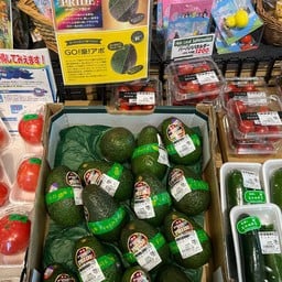 Surugayahonmachiten 駿河屋本町店