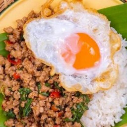 อาหารตามสั่ง-หมูอ้วนกะเพราโครตเด็ด สาขา1