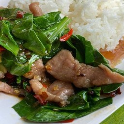 ข้าวราดคะน้าหมูชิ้น