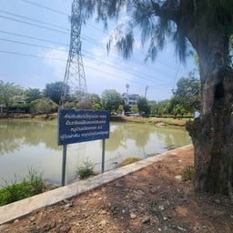 ท่าน้ำเมืองทอง 2/2