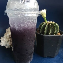 บลูเบอรรี่โซดา