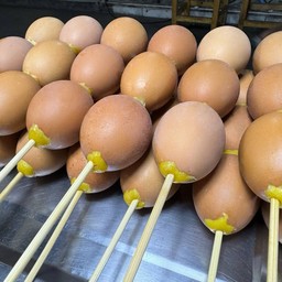 ไข่ทรงเครื่อง