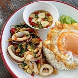 กระเพราปลาหมึกพิเศษไข่ดาวราดข้าว