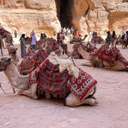 The Treasury الخزنة