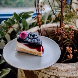 Blueberry cheese pie 🫐
