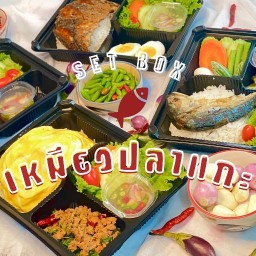 เหมียวปลาแกะ