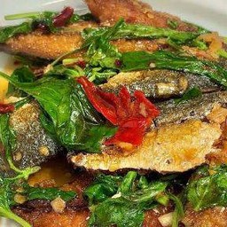 ข้าวปลาทูแกะผัดใบโหระพา+ไข่