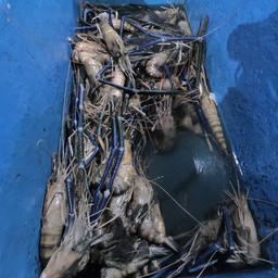 Ganesha Cafe’ Jimbaran bay beach, Bali, Indonesia