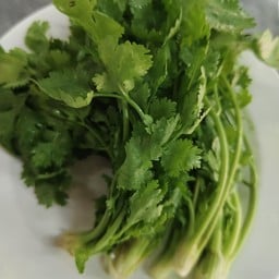 ผักชีไทย