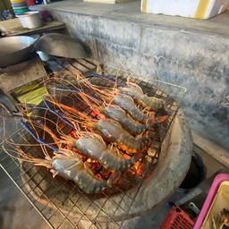 กุ้งแม่น้ำเผา 11-12ตัว (ครึ่งกิโลกรัม)