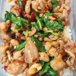 กะเพราไก่
