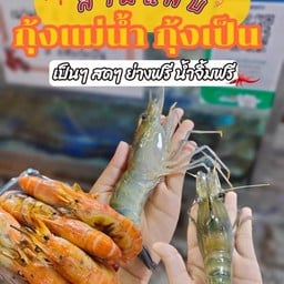 กุ้งเมีย&ไข่ 20-25 เผา (ครึ่ง กิโลกรัม) ไม่แก้ว