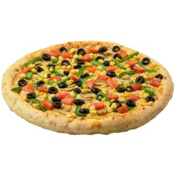 เวจเจททาเรียน พาราไดซ์ [DMN]