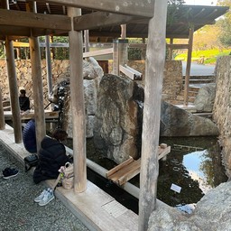 Nabana No Sato Foot Spa