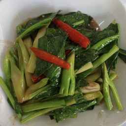 คะน้าไฟแดง