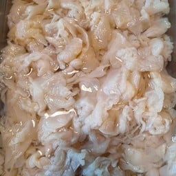 แมงกระพรุนจืด