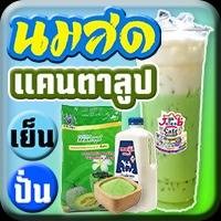 นมสด แคนตาลูป