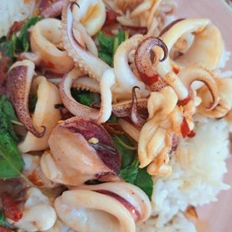 กระเพราปลาหมึก(ราดข้าว)
