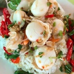 กระเพราหอยเชลล์(ราดข้าว)