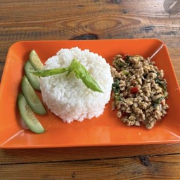 ข้าว+ผัดกระเพราหมูสับ