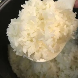 ข้าวหอมมะลิ