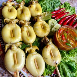 หมึกกระดอง