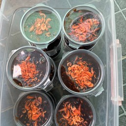 น้ำปลาหวาน