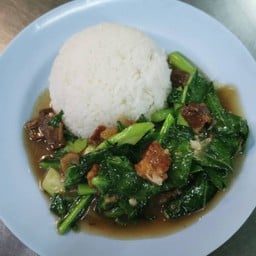 ข้าวราดคะน้าหมูกรอบ