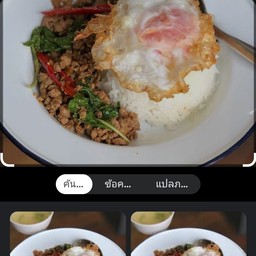 กระเพราหมู สับ   หมูชิ้น