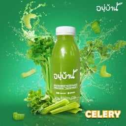 น้ำเซเลอรี่เพียว 6 ขวด (Celery x 6)