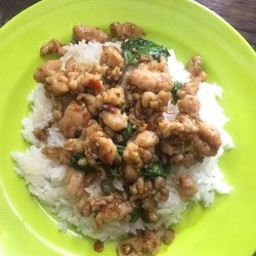 ข้าวกะเพราหมูเด้ง