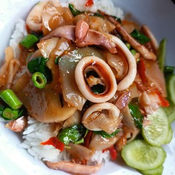 กะเพราปลาหมึกหน่อไม้ดองราดข้าว