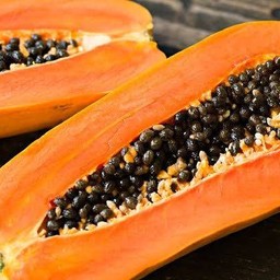 มะละกอฮอลแลนด์1ลูก