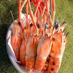 กุ้งแม่น้ำเผา 1 กิโลกรัมไซด์10-12ตัวโล