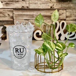 แก้วน้ำน้ำแข็งเปล่า 20 Oz. [ไม่มีฝา]