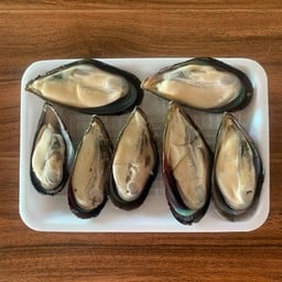 หอยแมลงภู่ชิลี