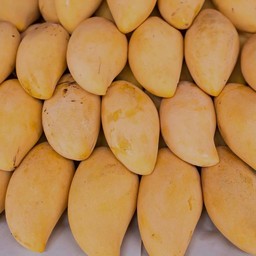 มะม่วง1กิโลพร้อมปลอกให้