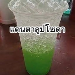 ชินชา