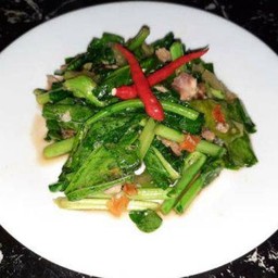 ผัดคะน้าปลาเค็มราดข้าว