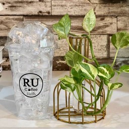 แก้วน้ำแข็งเปล่า 20 Oz. [มีฝา]