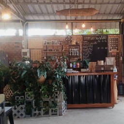 กกตาลกาแฟสด