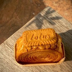 ทิมเบอร์ริงบิสคอฟ