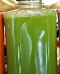 ชาเขียวเย็น